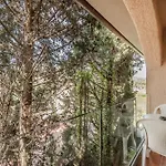 Hotiday Collection - 4* Lacona